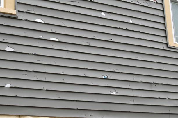 Best Shed Removal  in Middletown, IN